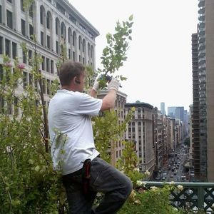 Meet your Posher, Todd